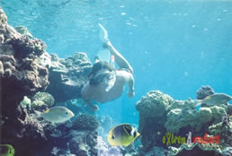 Snorkeling en Isla de Coral